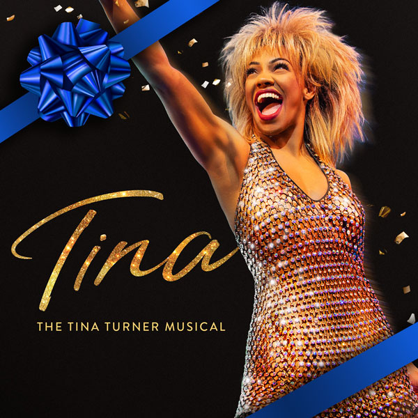 TINA TOUR ART VERTICAL 600 RD1 2 Mcallen Convention Center | McAllen Performing Arts Center